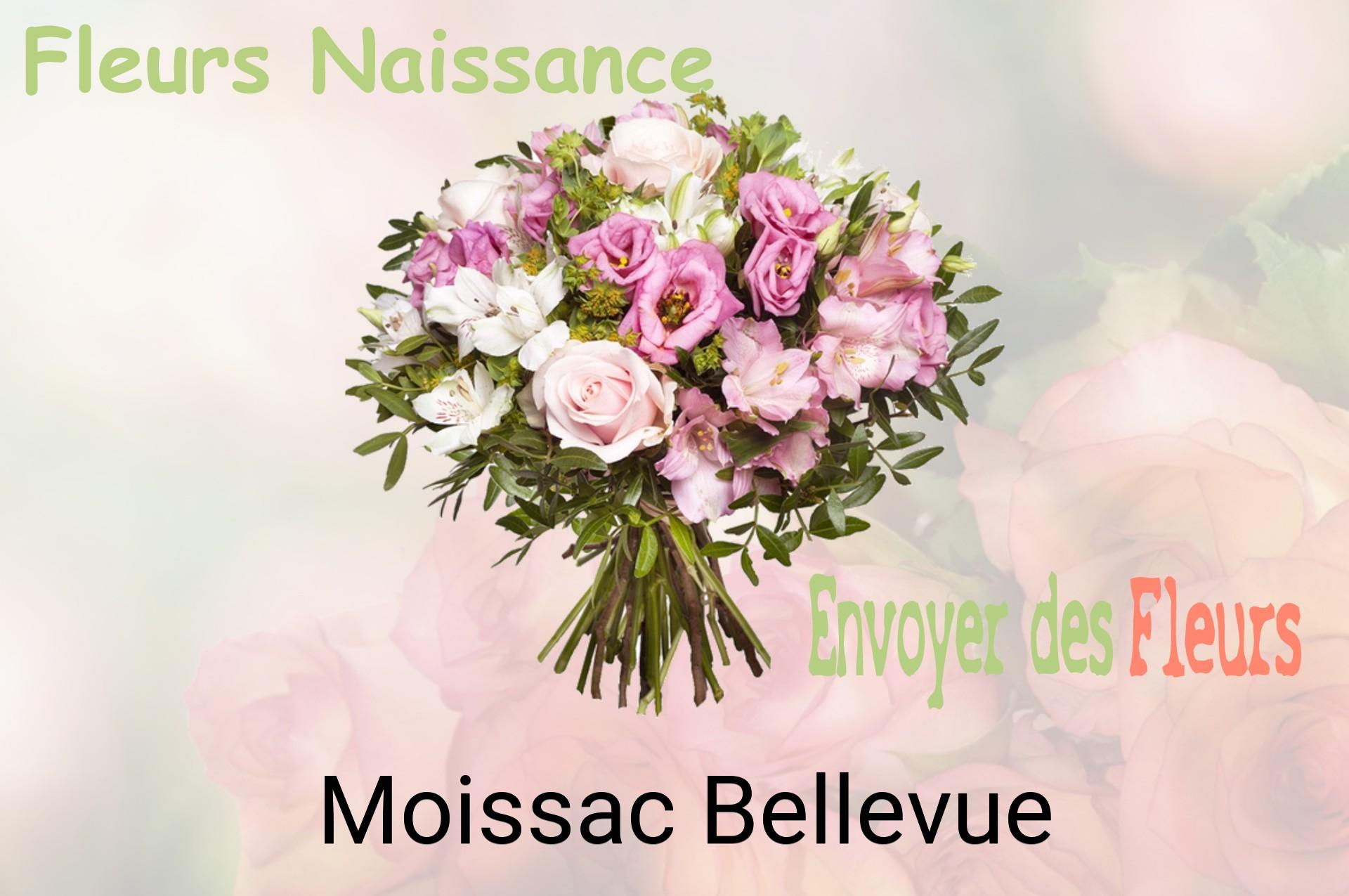 Bouquet de fleurs de naissance livré à Moissac-Bellevue
